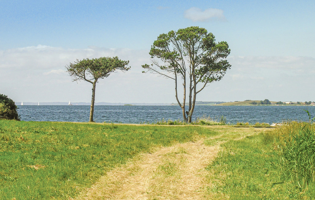 Ferienhaus - Nab/Fåborg , Dänemark - G52219 25