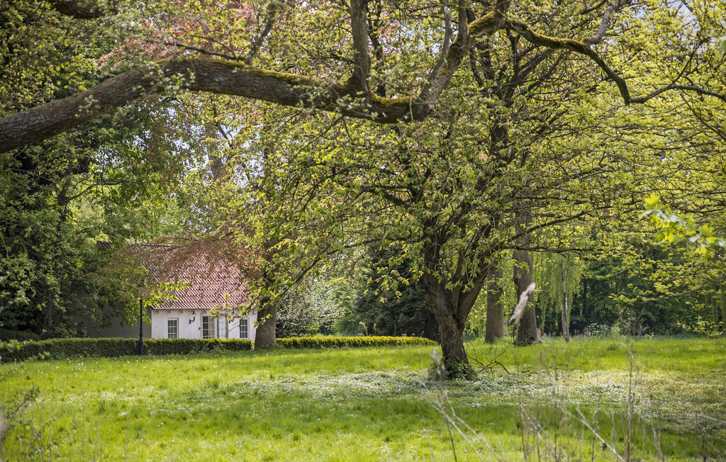 Feriehus - Horne , Danmark - G52568 11
