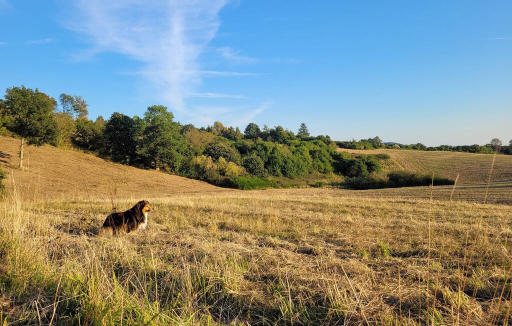 Ferienhaus - Svanninge , Dänemark - G52044 16