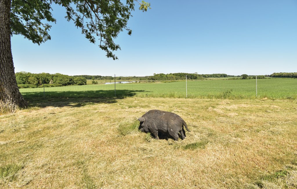 Feriehus - Ørbæk , Danmark - G53542 56