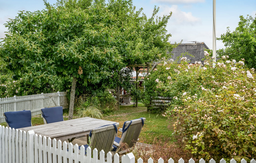 Ferienwohnung - Skårupøre , Dänemark - G53540 14