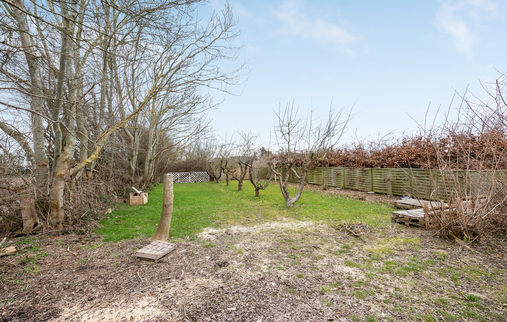 Ferienwohnung - Åbyskov , Dänemark - G53091 14