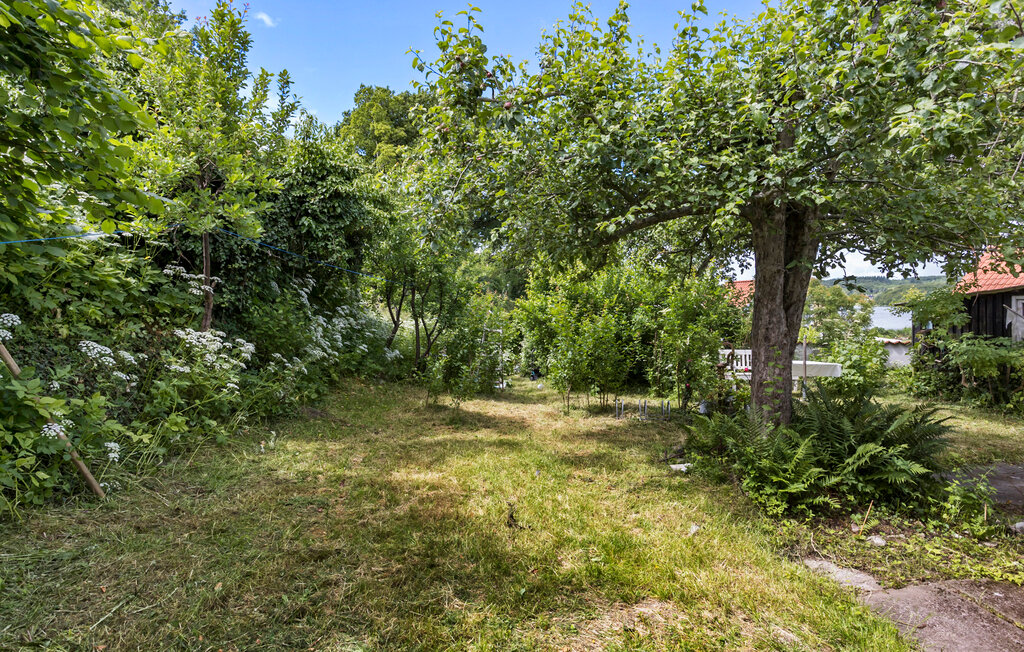 Ferienhaus - Thurø , Dänemark - G53573 12