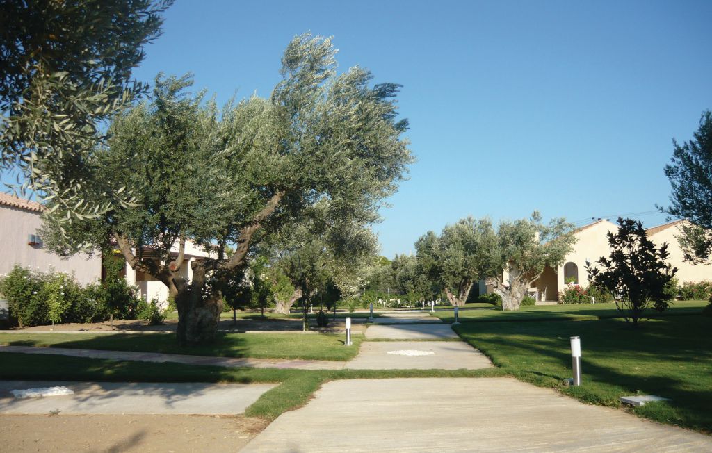 Ferienhaus - Kalamos Attiki , Griechenland - GAT123 8