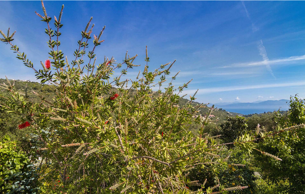 Ferienhaus - Gaios , Griechenland - GPA027 23