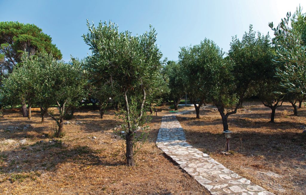 Feriehus - Kyparissia Messinia , Hellas - GPE177 35