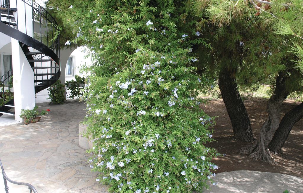 Ferieleilighet - Ermioni , Hellas - GPE111 17