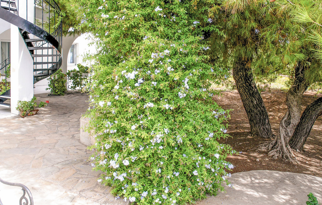 Ferieleilighet - Ermioni , Hellas - GPE108 20