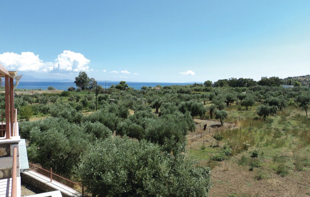 Feriehuse - Agios Andreas Astros P. , Grækenland - GPE293 10