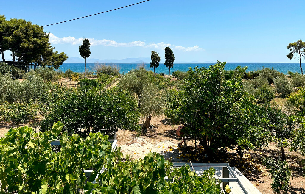 Semesterhus - Agios Andreas Astros , Grekland - GPE302 19