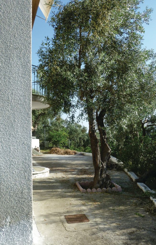 Semesterhus - Afissos/Pelion , Grekland - GPI125 16