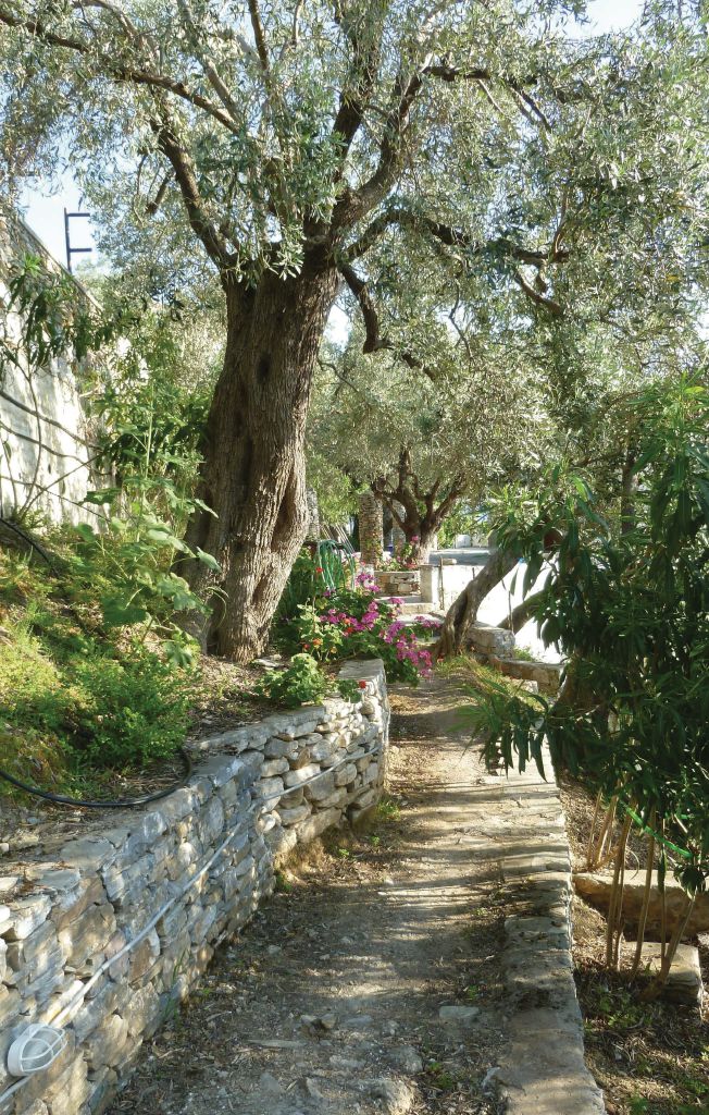 Semesterhus - Afissos/Pelion , Grekland - GPI125 17