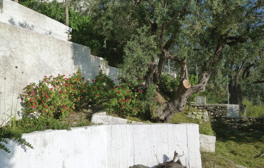 Semesterhus - Afissos/Pelion , Grekland - GPI125 14