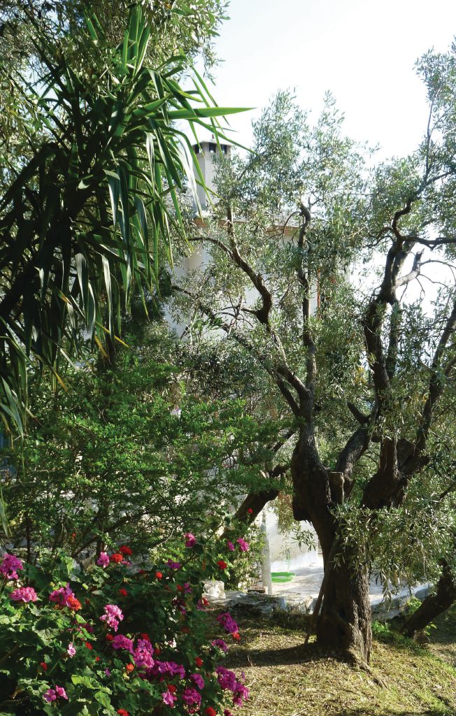 Semesterhus - Afissos/Pelion , Grekland - GPI125 15