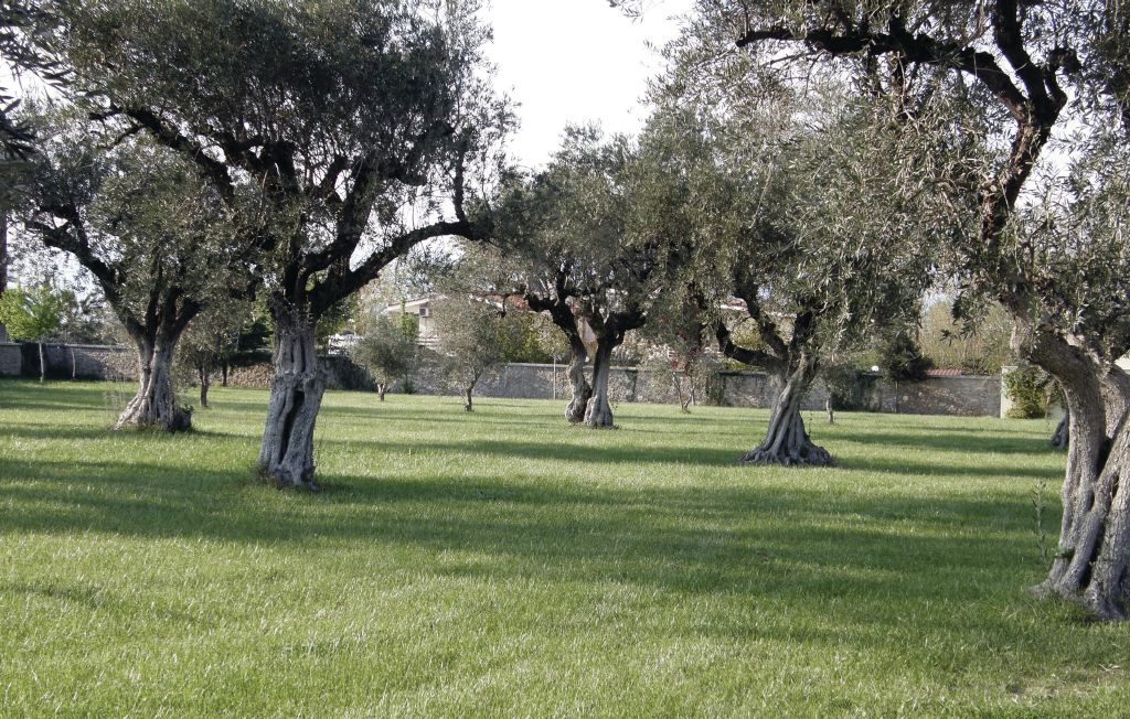 Feriehuse - Kamena Vourla , Grækenland - GST102 17