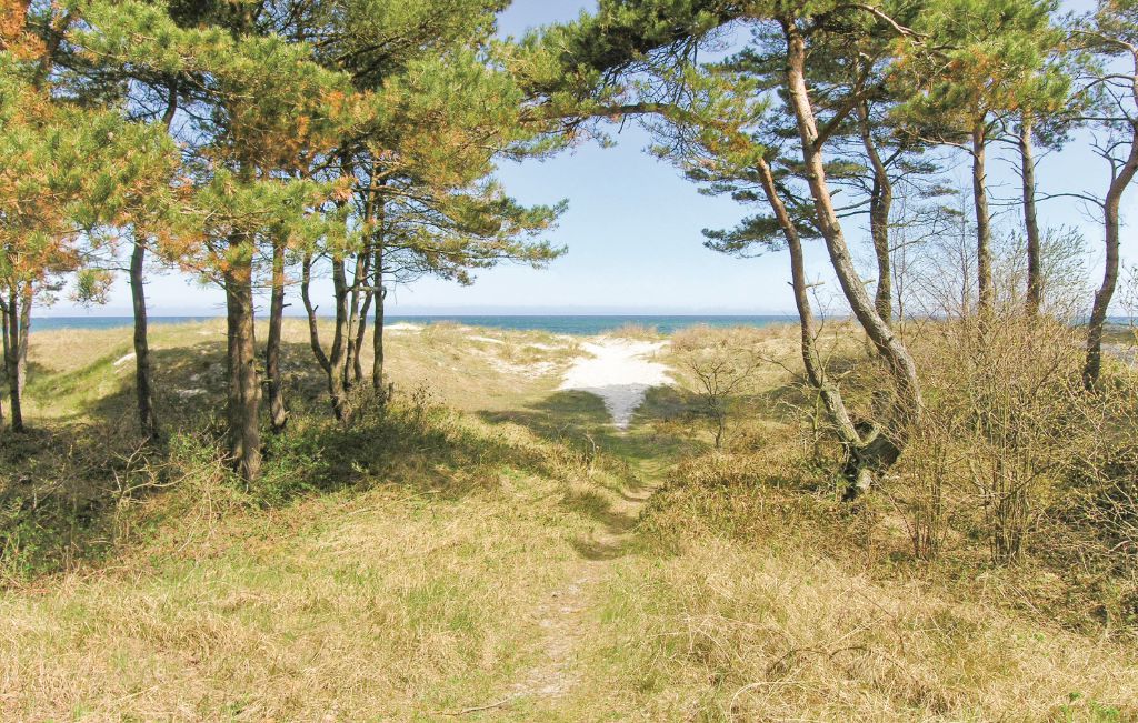 Feriehus - Balka Strand , Danmark - H0054 24