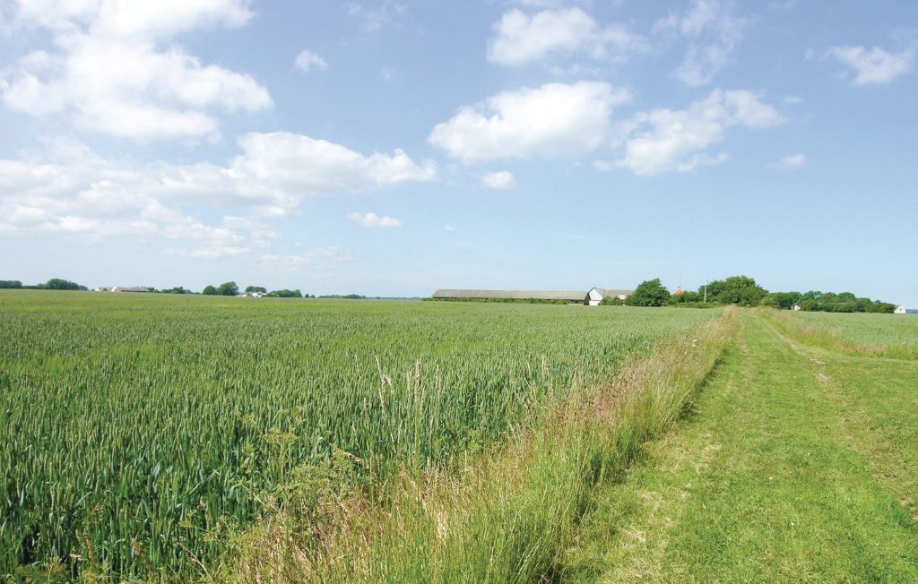 Ferienhaus - Poulsker , Dänemark - H0070 3