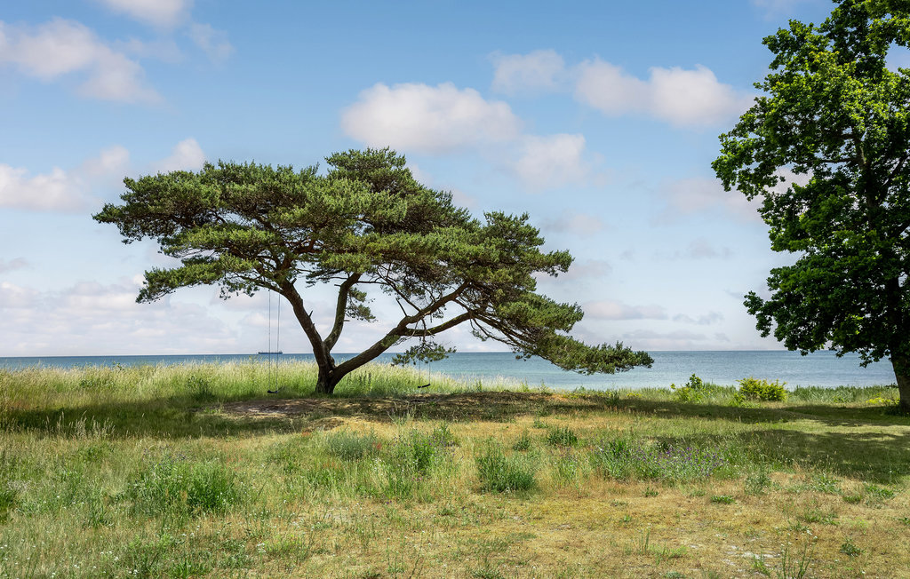 Feriehuse - Snogebæk Strand , Danmark - H0281 3