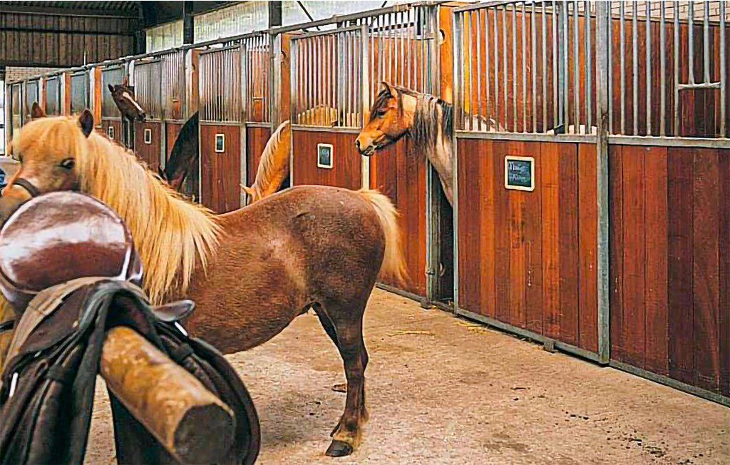 Semesterhus - Meppen , Nederländerna - HDR130 10