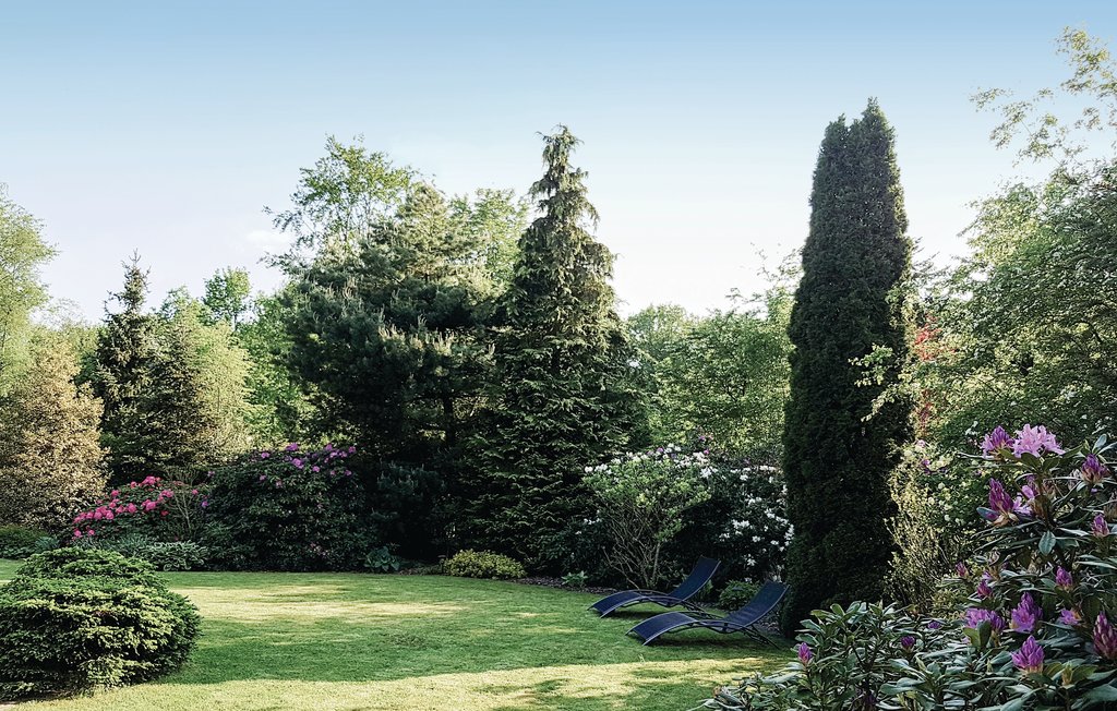 Feriehuse - Bella Nova Zorgvlied , Holland - HDR036 21