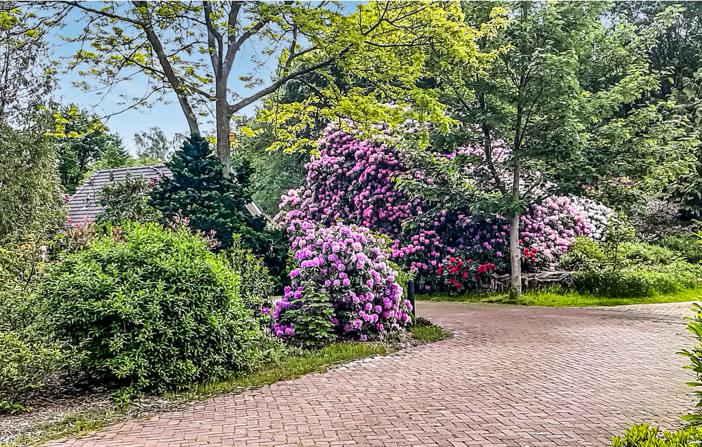 Feriehuse - Bella Nova Zorgvlied , Holland - HDR036 8