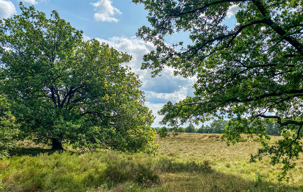 Feriehuse - Spier , Holland - HDR154 29