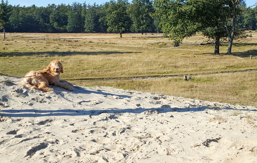 Kuća-za-odmor - Diever , Nizozemska - HDR165 32
