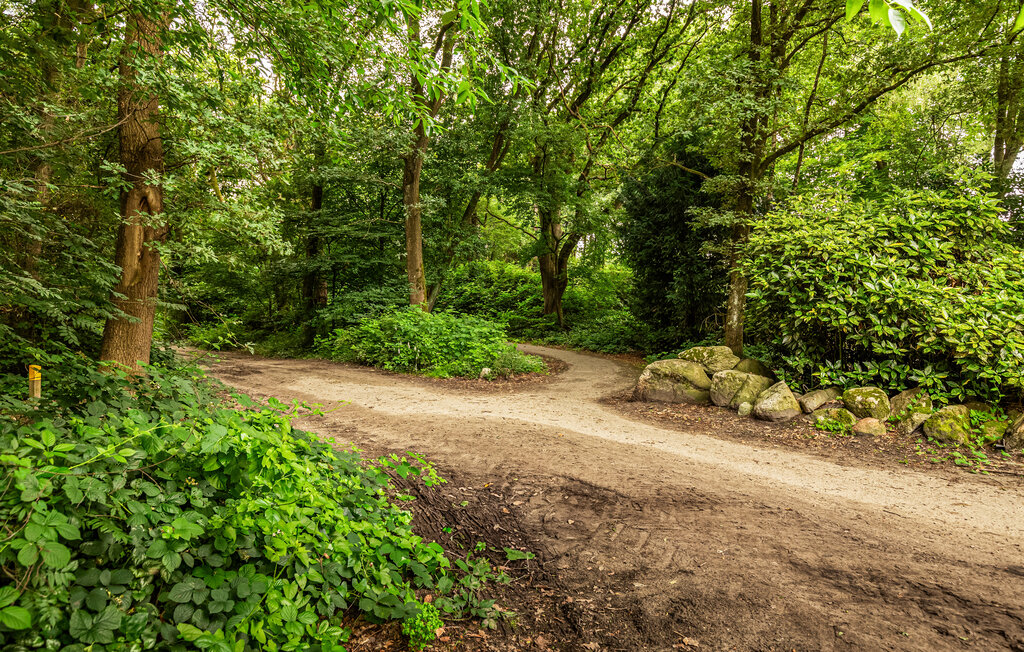 Location de vacances - Erm , Pays-Bas - HDR304 34