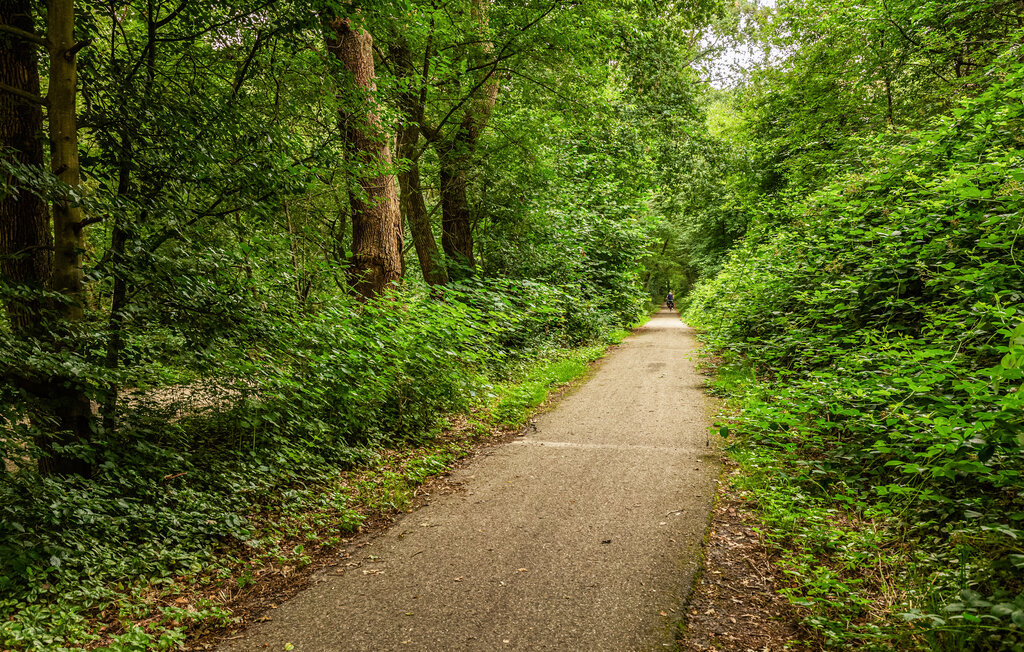 Location de vacances - Erm , Pays-Bas - HDR304 35