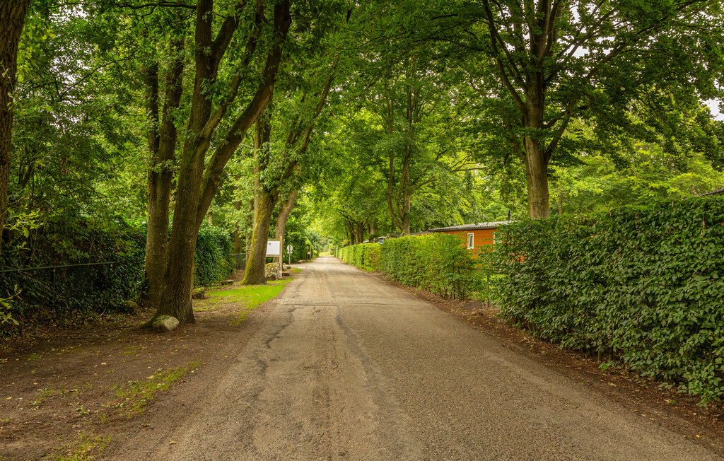 Ferienhaus - Erm , Niederlande - HDR320 20