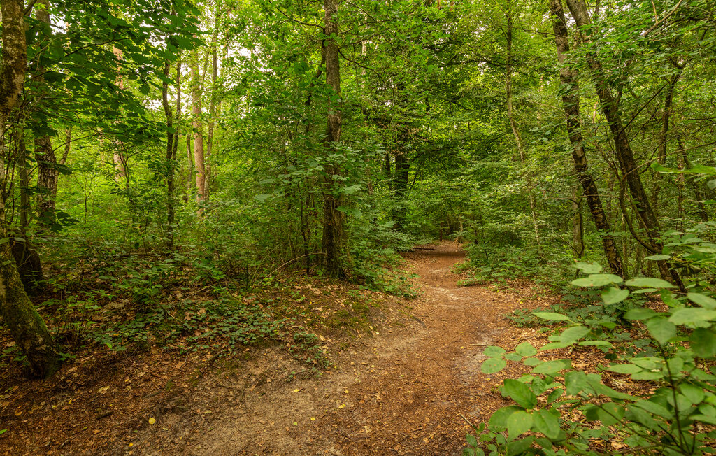 Ferienhaus - Erm , Niederlande - HDR320 22
