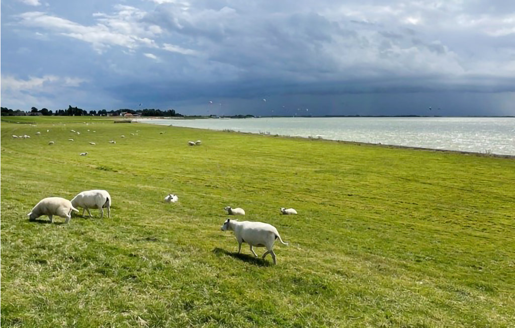 House boat - Warns , Netherlands - HFR195 21