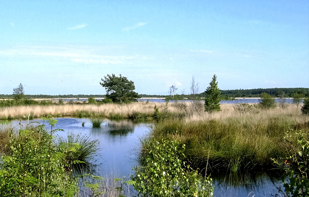 Feriehus - Oosterwolde , Nederland - HFR362 23