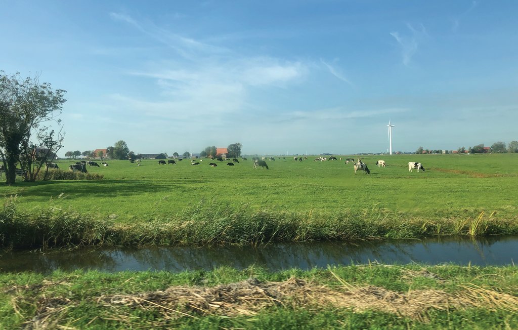 Ferienhaus - Tzummarum , Niederlande - HFR172 20