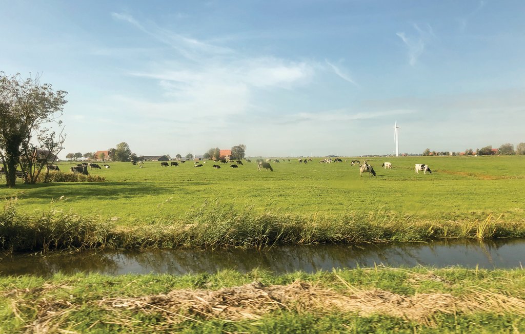 Semesterhus - Tzummarum , Nederländerna - HFR317 19