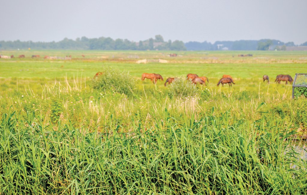 Ferienhaus - Grou , Niederlande - HFR324 23