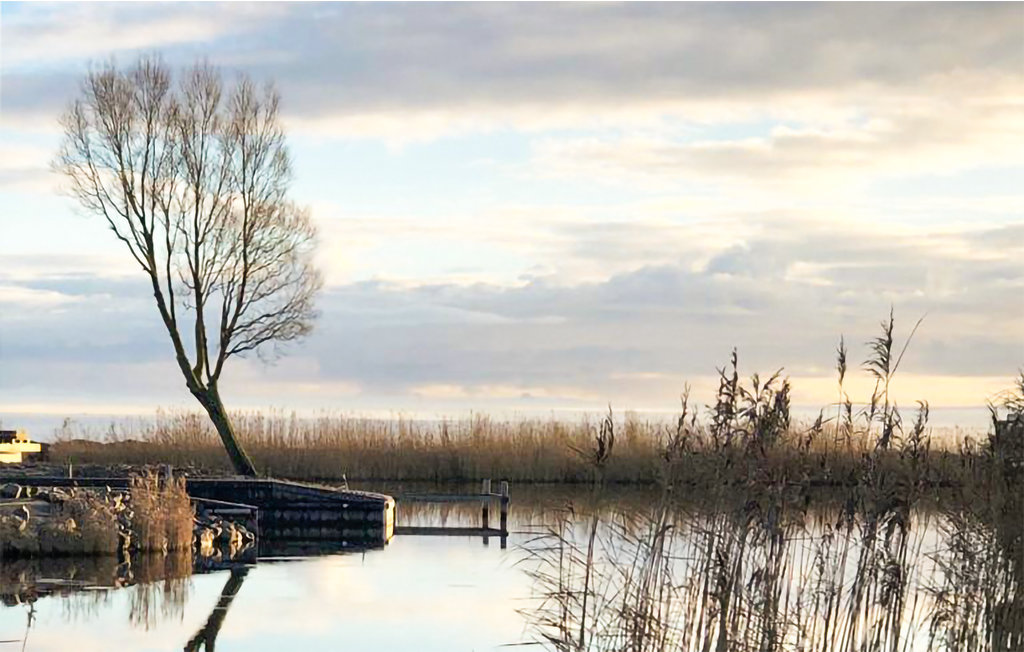 Ferienhaus - Makkum , Niederlande - HFR443 12