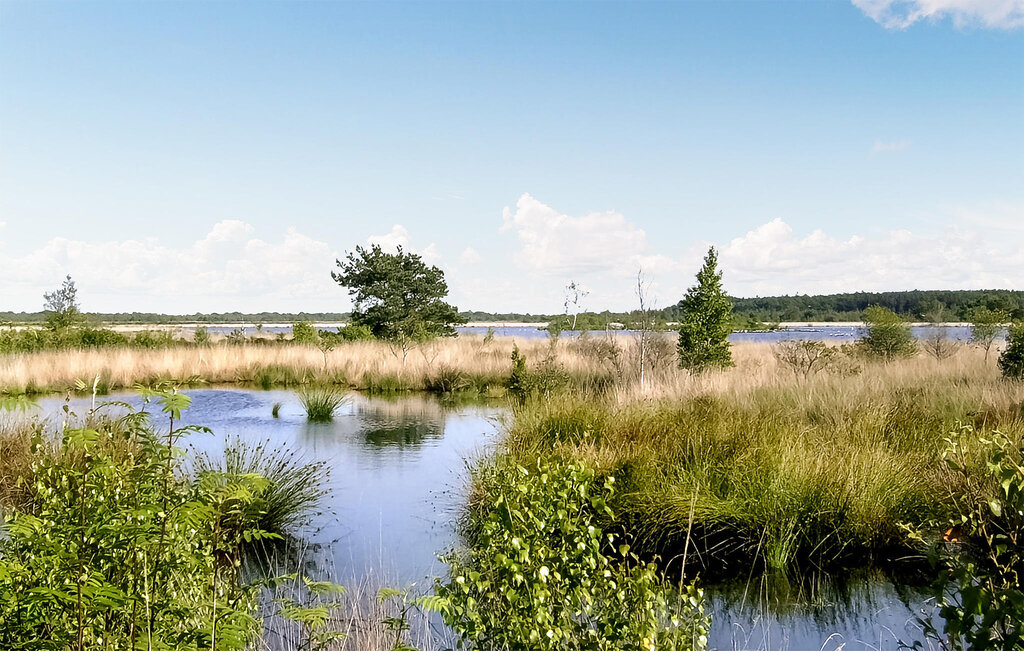 Ferienhaus - Oosterwolde , Niederlande - HFR370 23
