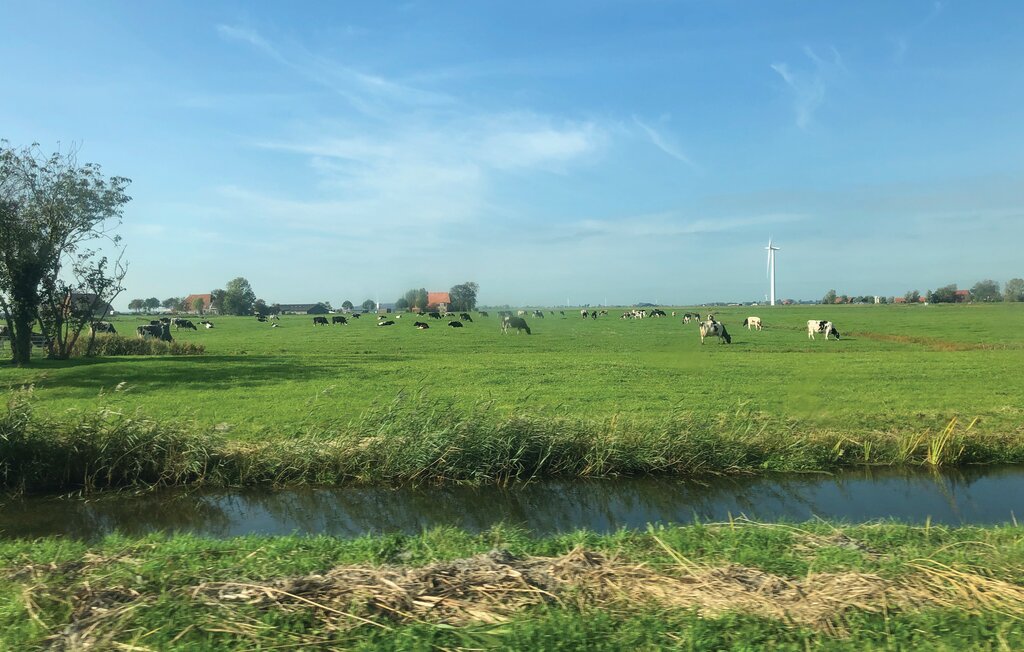 Feriehus - Tzummarum , Nederland - HFR088 30