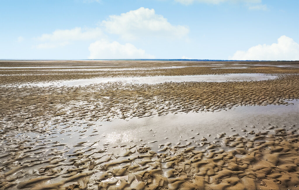 Semesterlägenhet - Schiermonnikoog , Nederländerna - HFR439 24