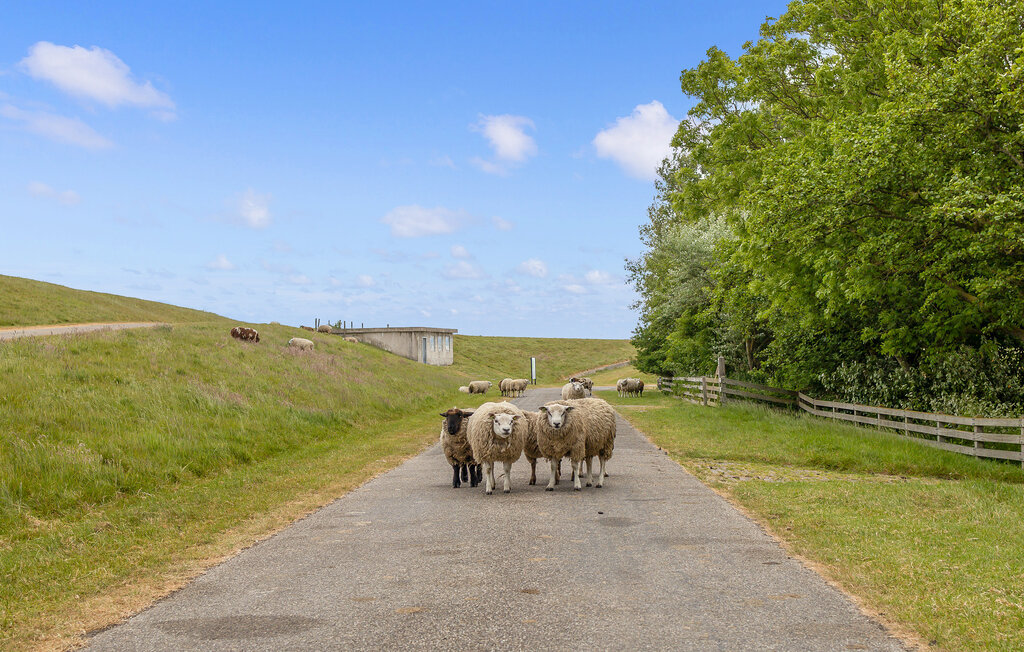 Ferienhaus - Tzummarum , Niederlande - HFR088 44