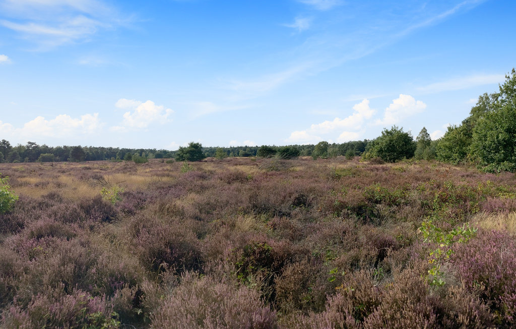 Feriehus - Putten , Nederland - HGE164 21