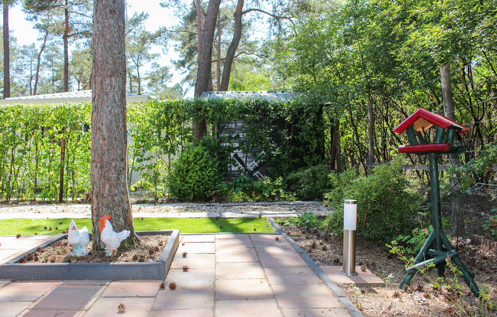 Feriehus - Doornspijk , Nederland - HGE035 10