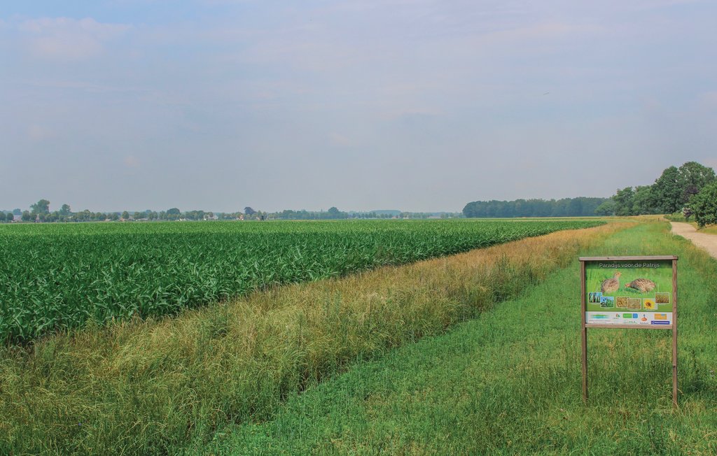Ferienhaus - Loerbeek , Niederlande - HGE083 22