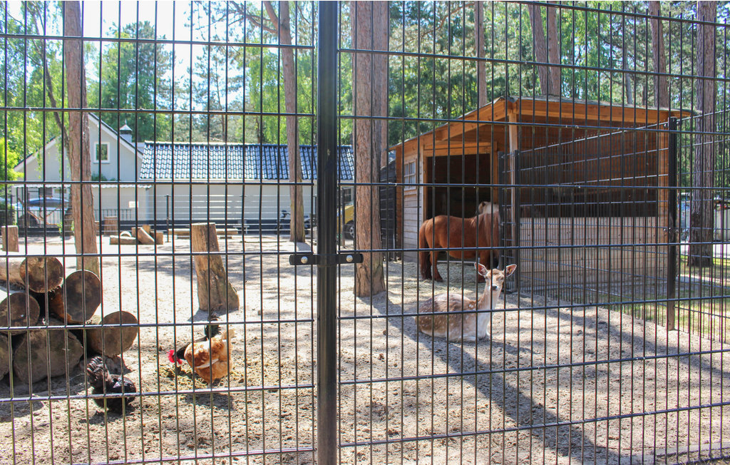 Feriehus - Doornspijk , Nederland - HGE035 19