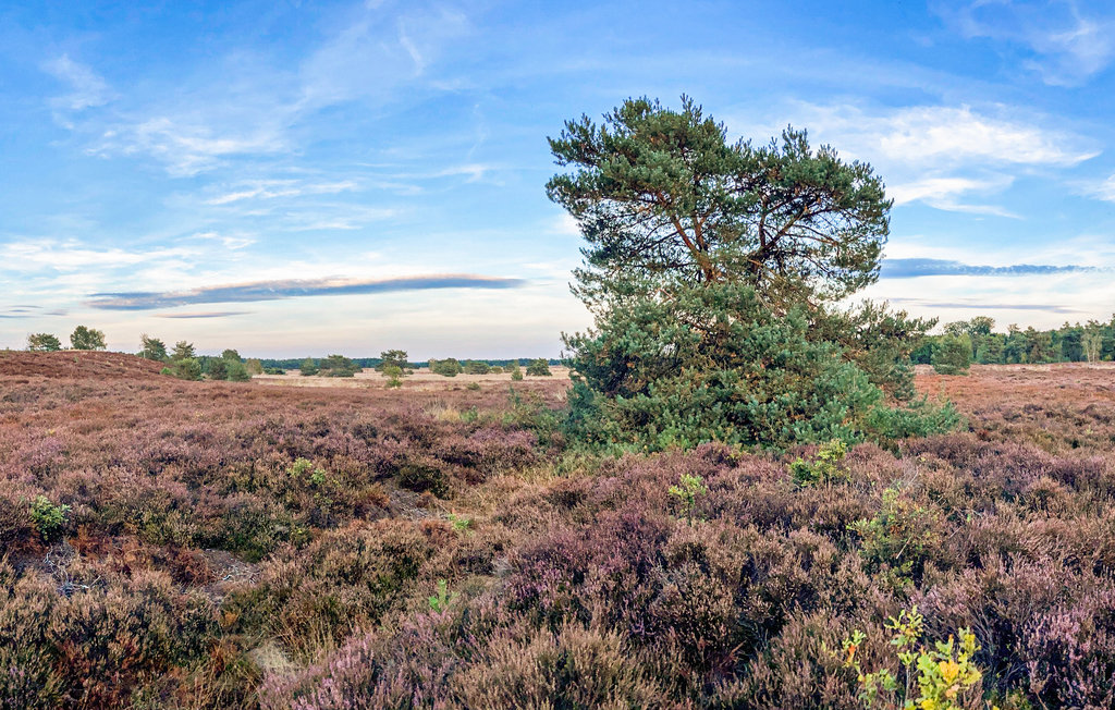 Feriehus - Otterlo , Nederland - HGE078 16