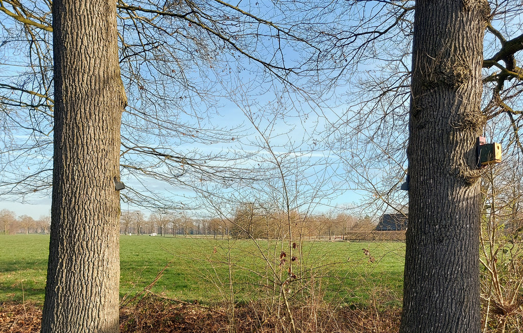 Ferienhaus - Winterswijk , Niederlande - HGE220 2