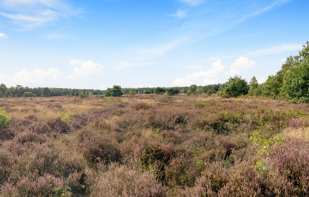 Feriehus - Otterlo , Nederland - HGE078 15