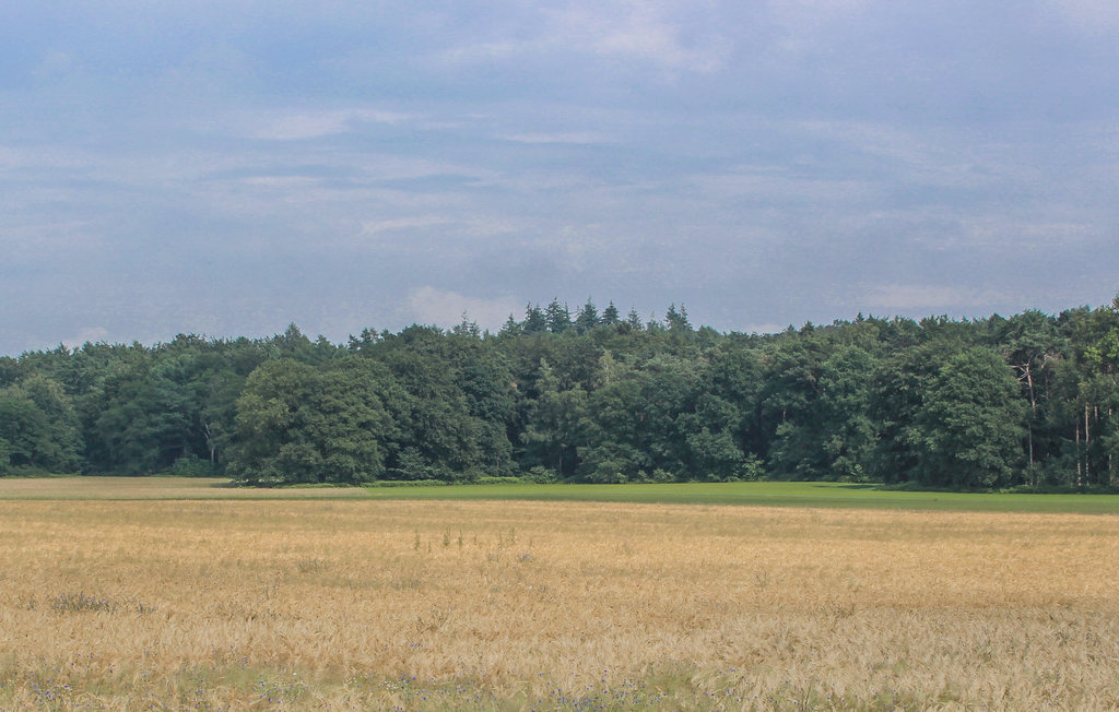 Ferienhaus - Loerbeek , Niederlande - HGE083 21