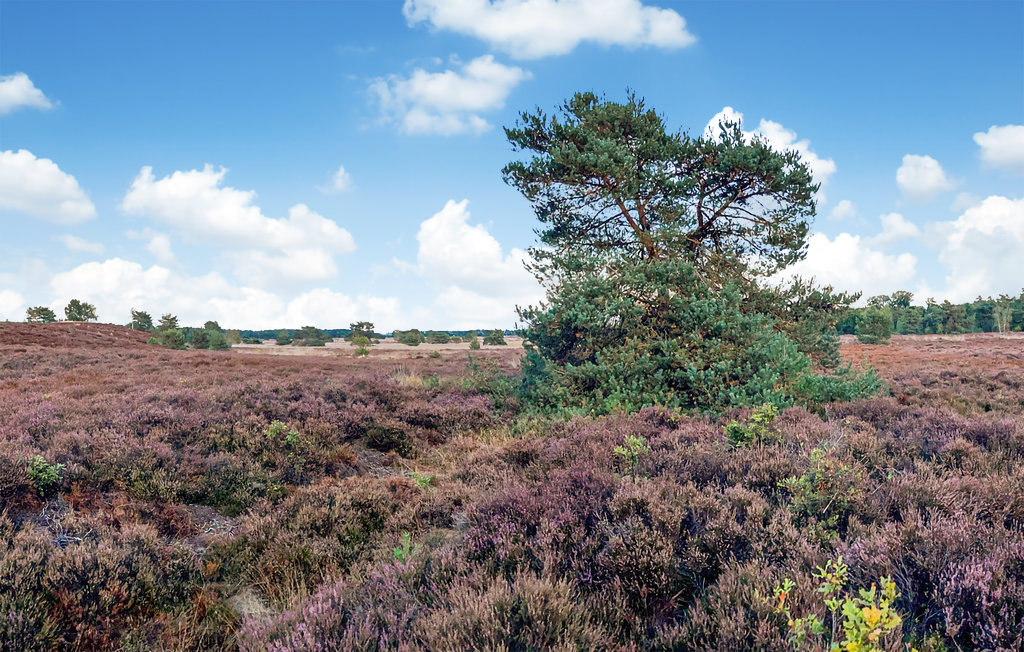 Semesterhus - Putten , Nederländerna - HGE144 15